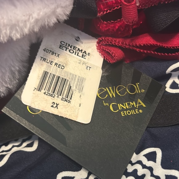 Christmas teddy with bottoms hubba hubba ms claus🎄🤶 - Picture 15 of 15